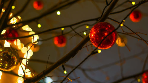 Low angle view of christmas lights hanging from tree