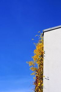 clear sky