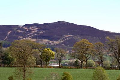 Scenic view of landscape against clear sky