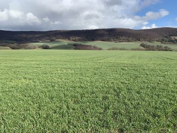 Scenic view of field against sky in eichsfeld, thuringia, germany 