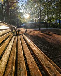 Railroad tracks amidst trees