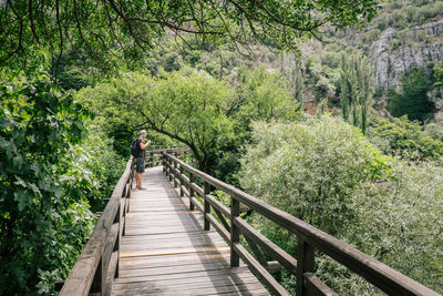 Side view of man standing on footbridge in forest