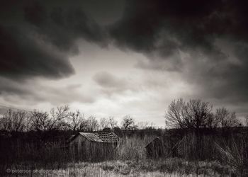 Trees on field against cloudy sky
