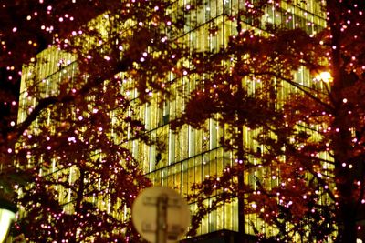 Low angle view of illuminated christmas tree at night