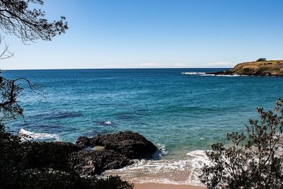 Scenic view of sea against clear blue sky