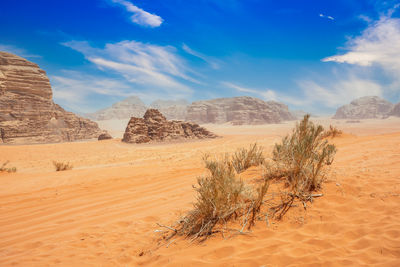 Orange sands, mountains and landscape of wadi rum desert, jordan