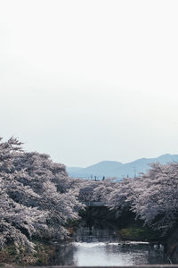 Scenic view of lake against clear sky