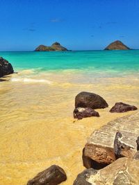 Scenic view of sea against clear sky