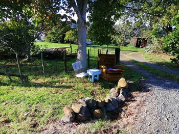 View of logs in park