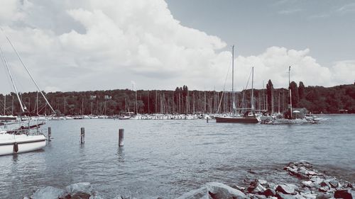 Sailboats moored in harbor against sky