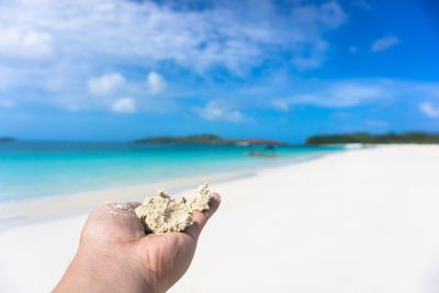 Close-up of hand holding crab on beach against sky