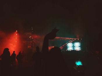 Silhouette people enjoying music concert at night