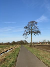 Empty road amidst field against blue sky