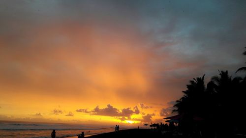 Silhouette of palm trees at sunset