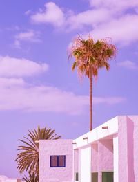 Tropical palm tree and architecture. canary island. travel, summer vacation wallpaper