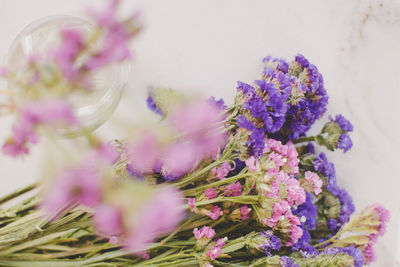 Close-up of purple flowers