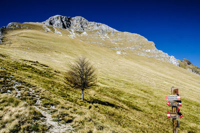 Scenic view of landscape against clear blue sky