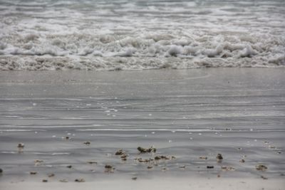 Scenic view of sea shore