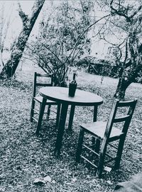 Chairs and trees against sky