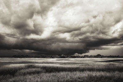 Scenic view of field against sky