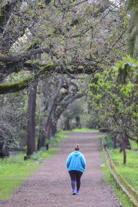 Rear view of woman walking on footpath amidst trees