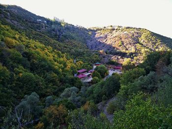 High angle view of trees and plants growing on mountain against sky