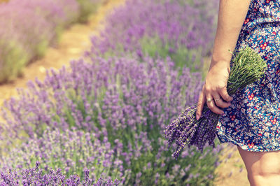 Low section of woman standing on purple flowering plants