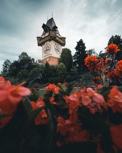 Low angle view of orange flowers on building against sky