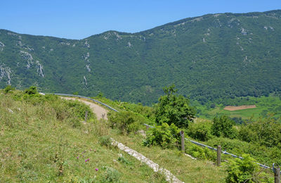 Scenic view of mountains