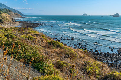 A view of the ocean from highway 101 in oregon state.