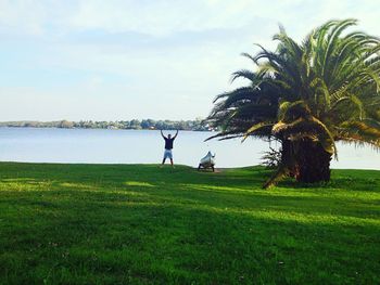 Scenic view of grassy field by sea