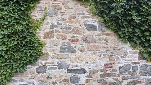 Stone wall by plants