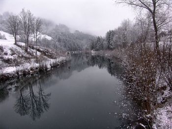 Reflection of bare trees in river