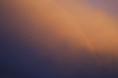 Low angle view of silhouette bird flying against sky during sunset