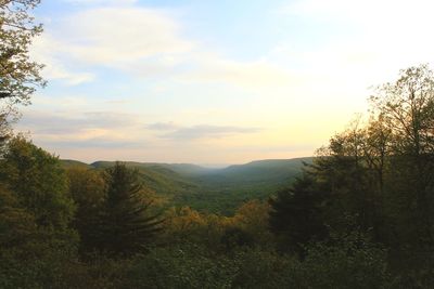 Scenic view of landscape against cloudy sky