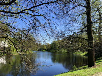 Scenic view of lake by trees in forest against sky