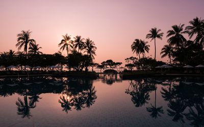 Reflection of silhouette trees in swimming pool against sky during sunset