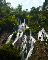 Low angle view of waterfall in forest