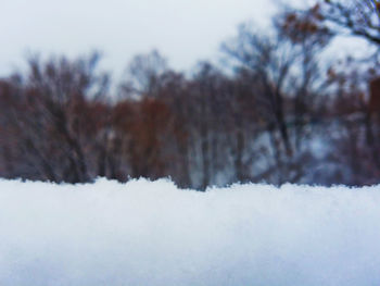 Close-up of snow on field against sky