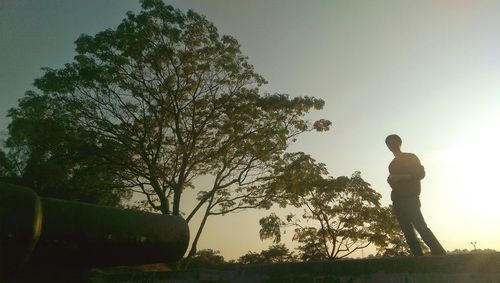 Silhouette of trees against sky