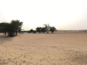 Scenic view of landscape against clear sky