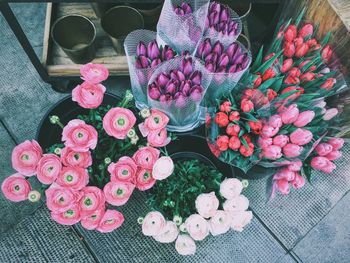 Pink flowers in vase