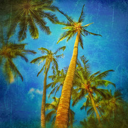 Trees against blue sky