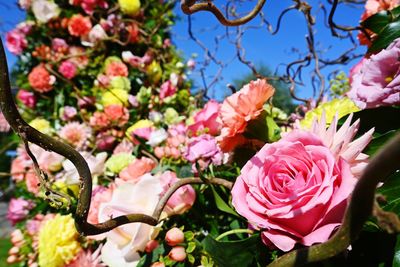 Close-up of pink rose bouquet