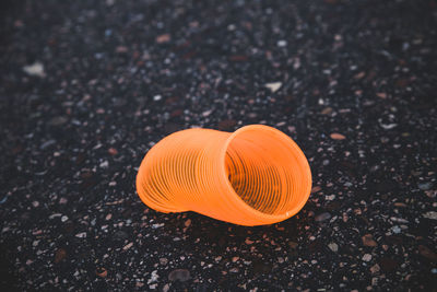 High angle view of a shell on field