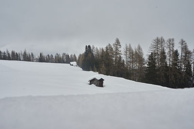 Snow covered land and trees against sky