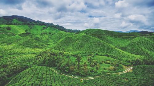 High angle shot of lush foliage against clouds