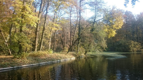 Scenic view of river with trees in background