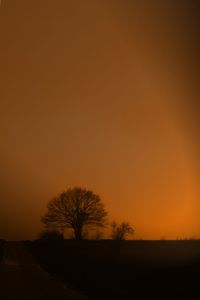 Silhouette trees on field against orange sky