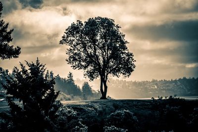 Scenic view of landscape against cloudy sky